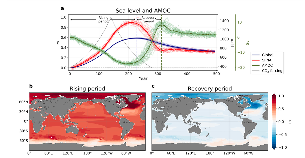 Wang et al. 2024